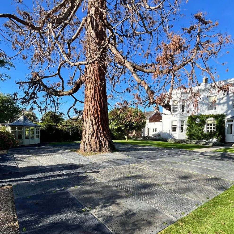 Ground protection mats laid across a garden lawn around a large tree
